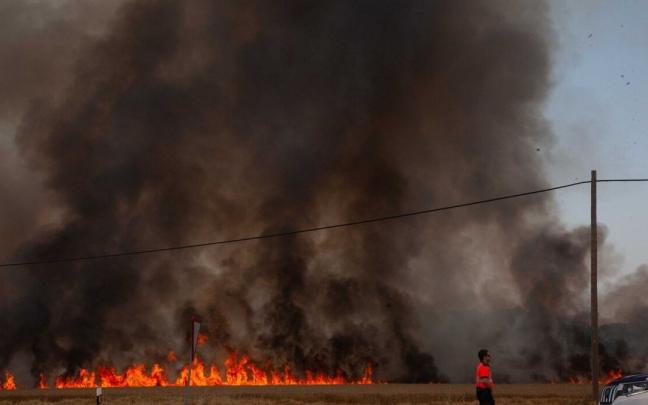 Incendio este verano en la zona de Argandoña
