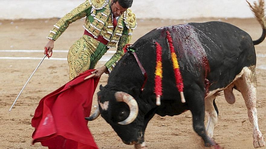 Hondo trincherazo de Emilio de Justo ante ‘Gamberrino’, el toro con mejor son y clase. | FOTO: M. SAGÜÉS