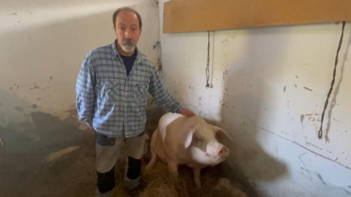 Vídeo: Manu Eizagirre presenta a la cerda Roxaito