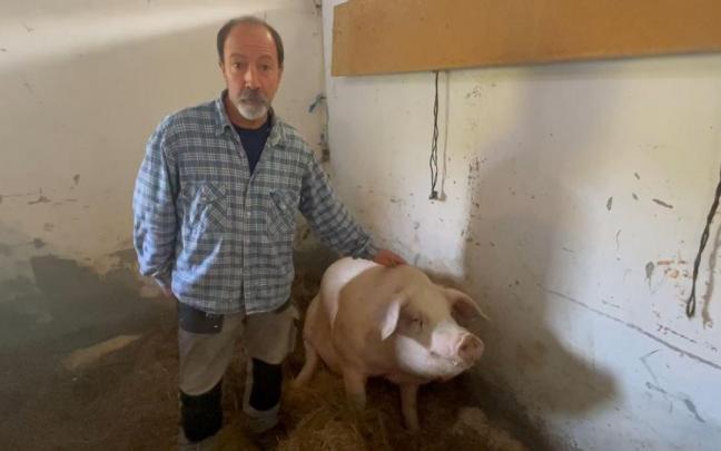 V&iacute;deo: Manu Eizagirre presenta a la cerda Roxaito