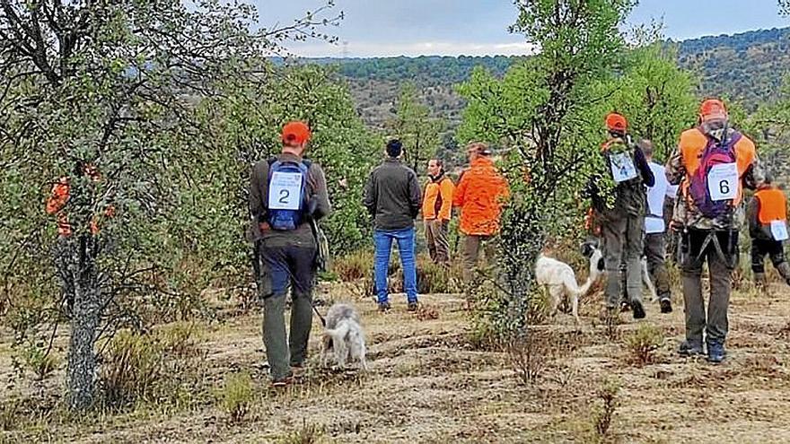 La prueba tuvo lugar en el Coto Intensivo de la Ribera de la localidad cacereña de Garrovillas de Alconétar. Fotos: cedidas