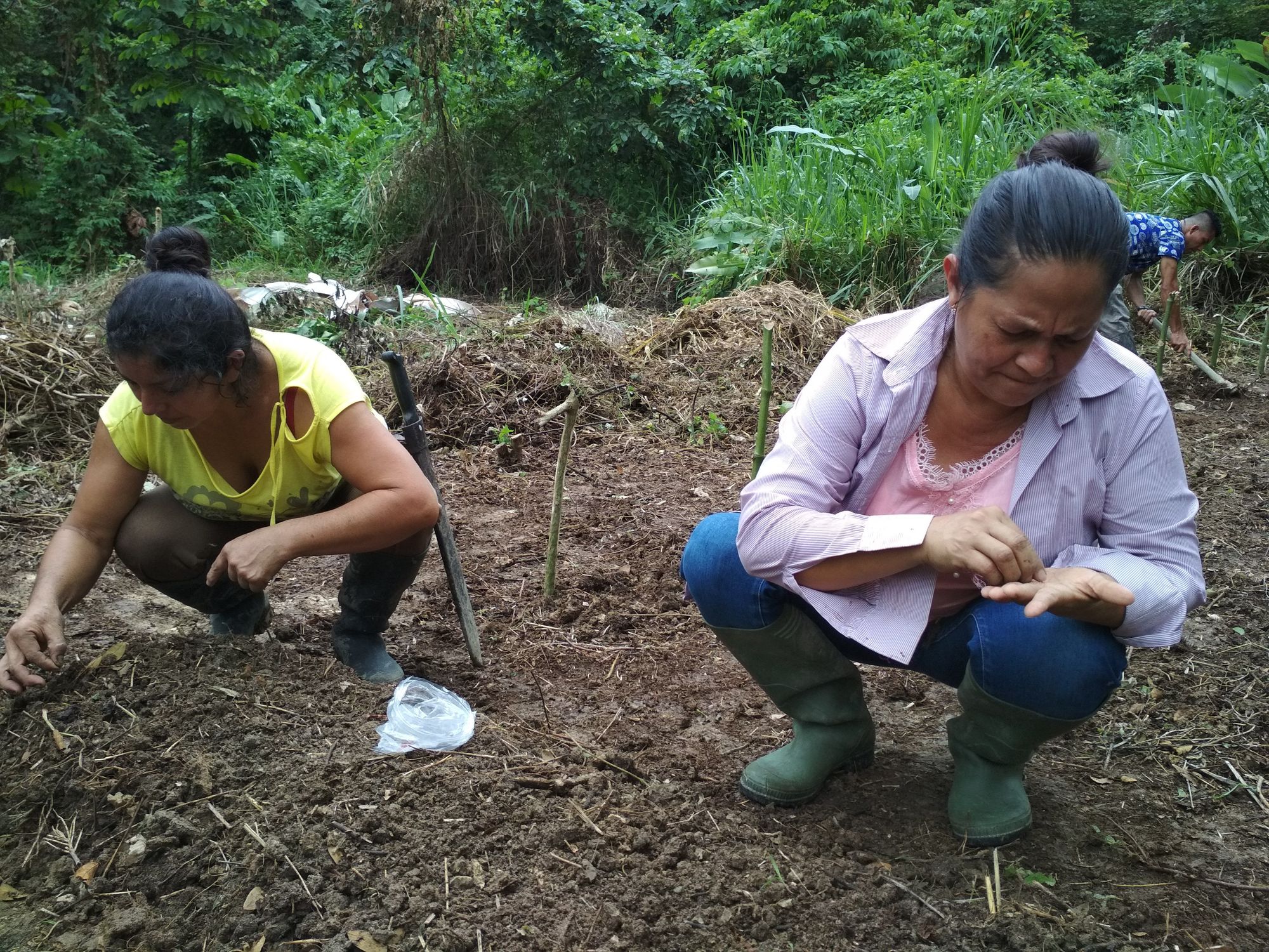 Lorena y Nieves, vecinas de Mache (Cojimíes), durante la siembra del huerto comunitario.
