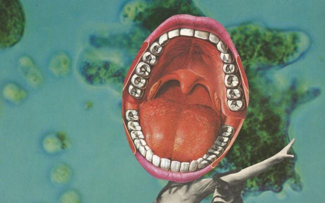 La artista argentina Mariana Razzetti es la autora del cartel del Flamenco On Fire 2022.