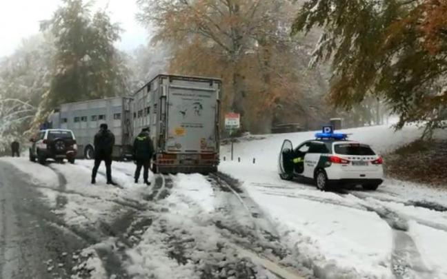 Un camión de ganado bloquea el tráfico hacia Roncesvalles