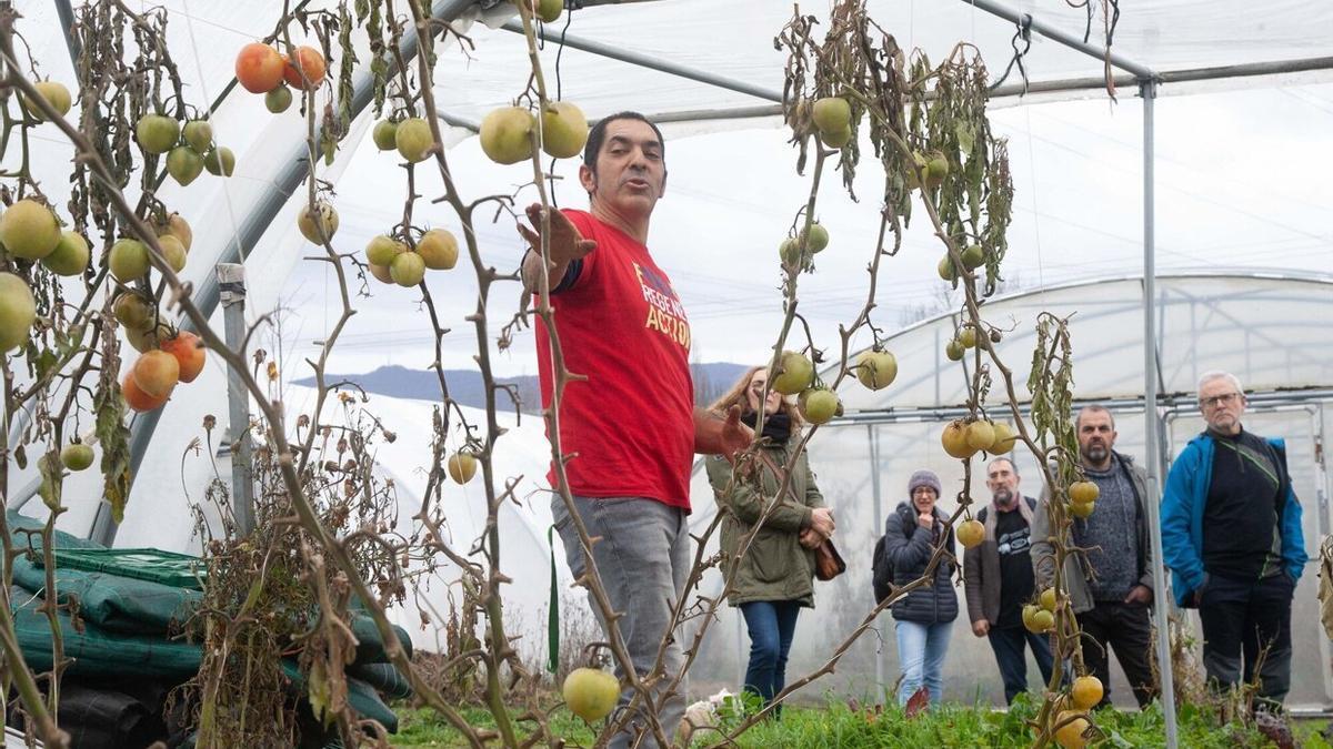 Huerta La Esmeralda da sus primeros frutos en Abetxuko.