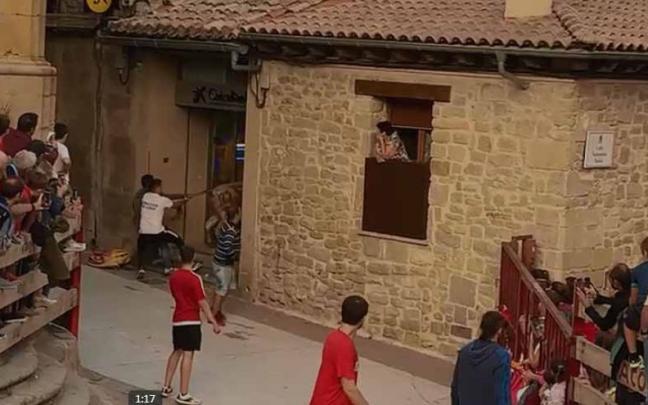 Seis vacas entran en una sucursal bancaria en Mendigorr&iacute;a