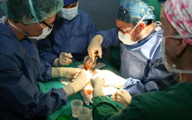 Imagen de un trasplante renal.