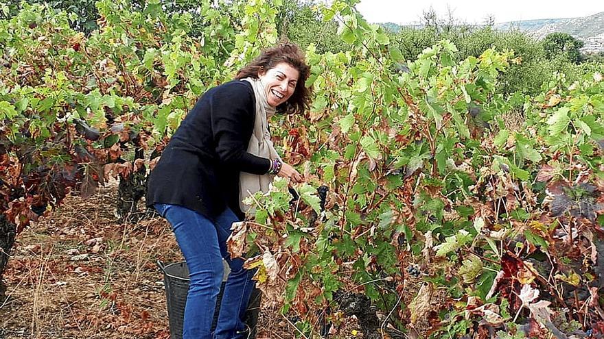 Una joven se afana en recoger las uvas en un viñedo durante la vendimia que ya ha concluido en líneas generales.