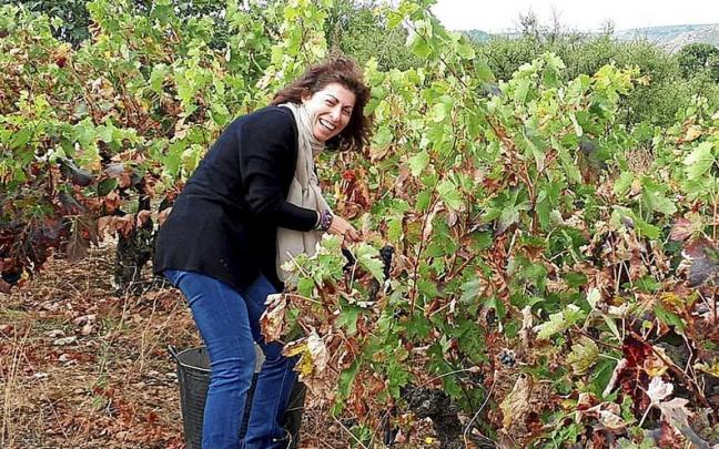 Una joven se afana en recoger las uvas en un viñedo durante la vendimia que ya ha concluido en líneas generales.