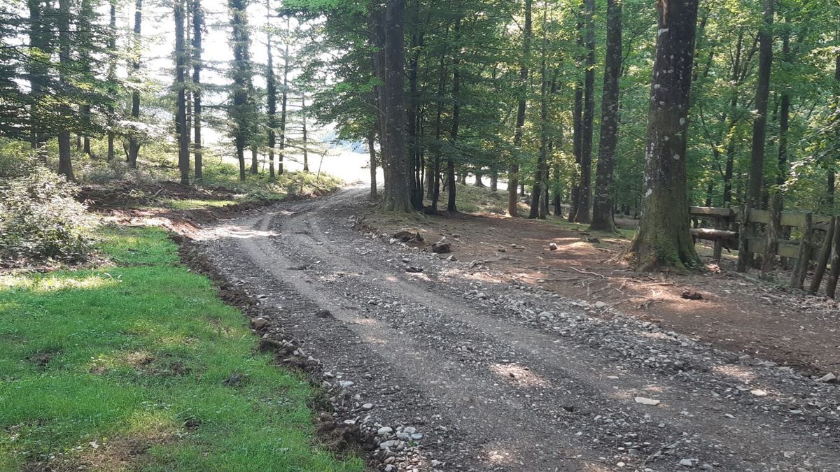 d9bd34f3 2c77 4684 b4ca 074541fa6af7