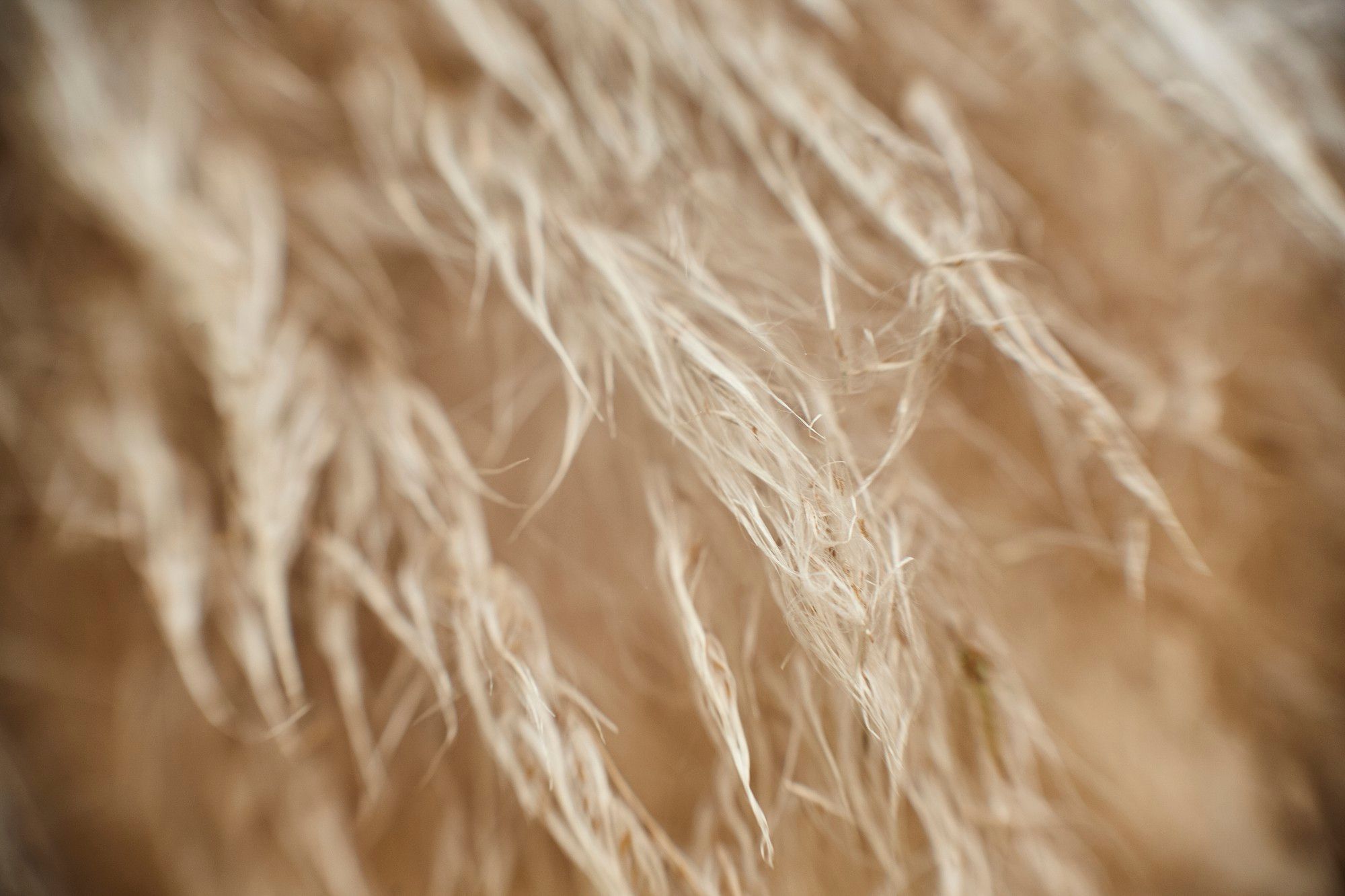 El relleno de fibra textil es el más sencillo y barato.