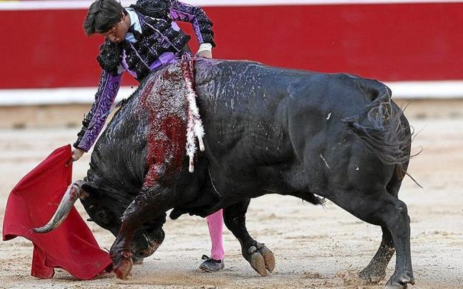 Roca templa en redonco al bravo ‘Jaceno’, de Vitoriano del Río, premiado con vuelta al ruedo. | FOTO: U. BEROIZ Roca templa en redonco al bravo ‘Jaceno’, de Vitoriano del Río, premiado con vuelta al ruedo. | FOTO: U. BEROIZ