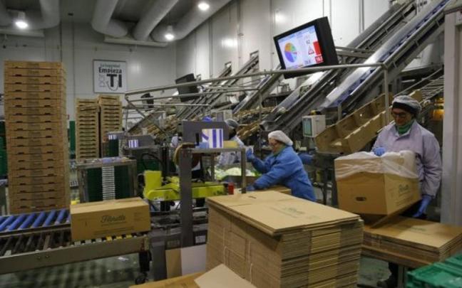 Trabajadoras en una empresa agroalimentaria