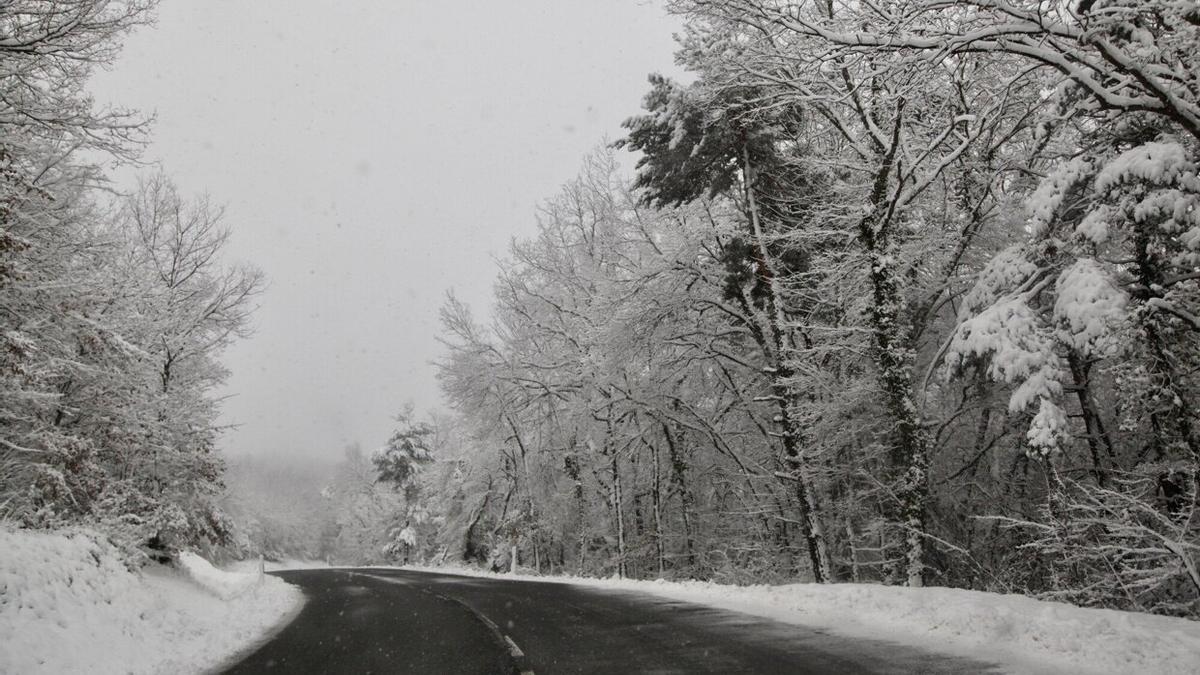 Una carretera alavesa tras la nevada del 18 de enero.