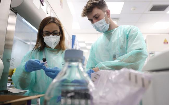 Varios t&eacute;cnicos de laboratorio trabaja con pruebas PCR para la detecci&oacute;n de viruela del mono.