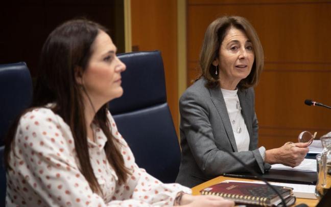 La fiscal superior del País Vasco, Carmen Adán, durante la presentación en el Parlamento Vasco de la memoria de la fiscalía de 2021. La fiscal superior del País Vasco, Carmen Adán, durante la presentación en el Parlamento Vasco de la memoria de la fiscalía de 2021.