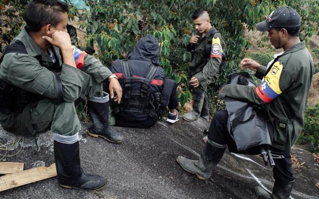 Guerrilleros de las ya extintas FARC. Guerrilleros de las ya extintas FARC.