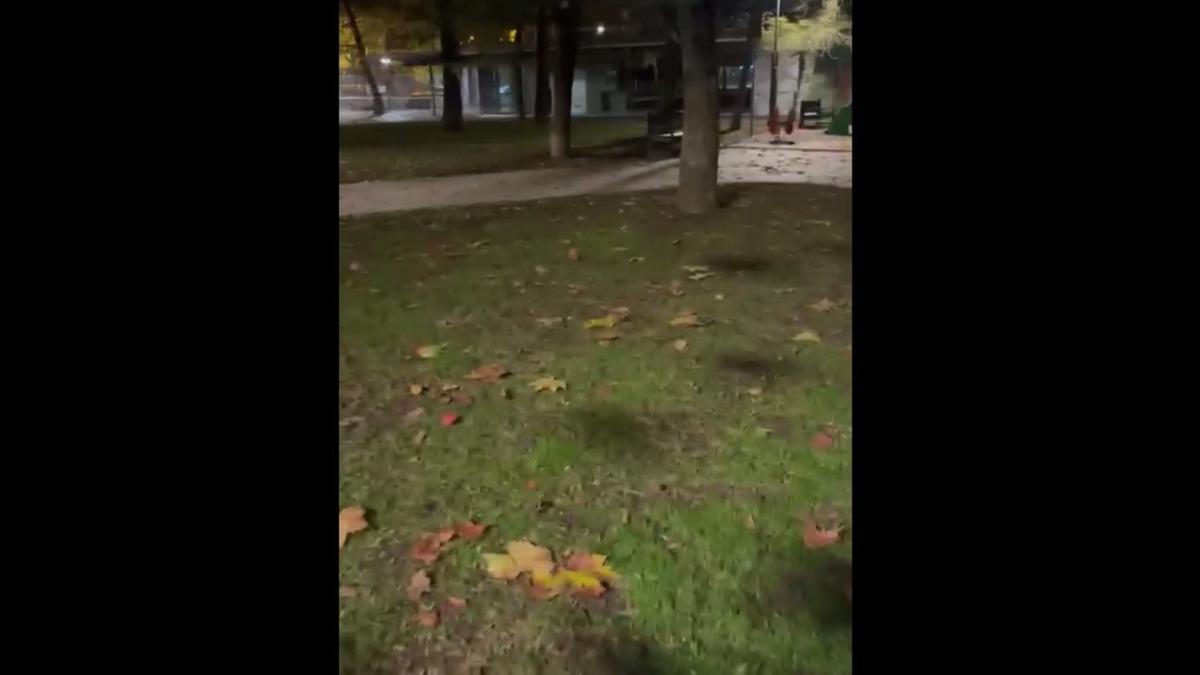 Presencia de ratas en un parque de Vitoria