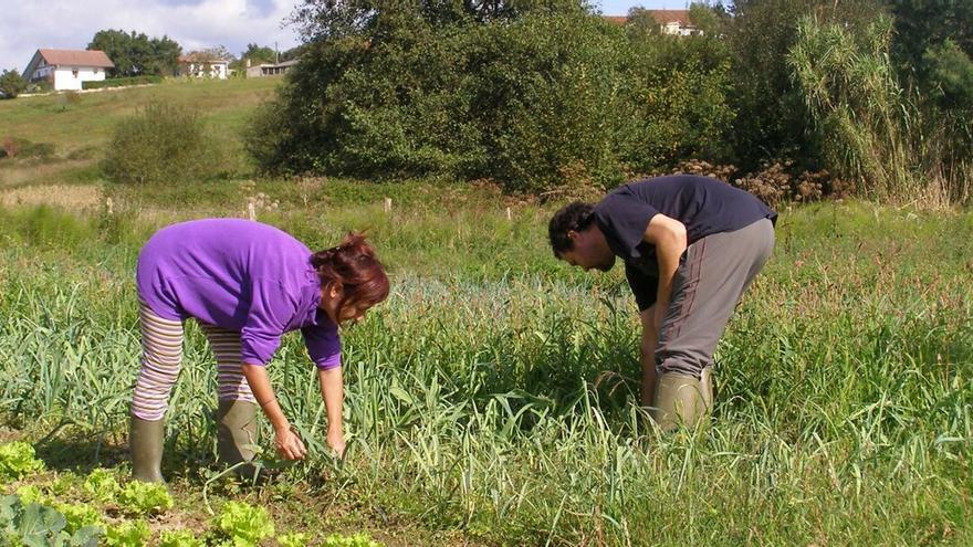 Dos personas, trabajando en el campo.