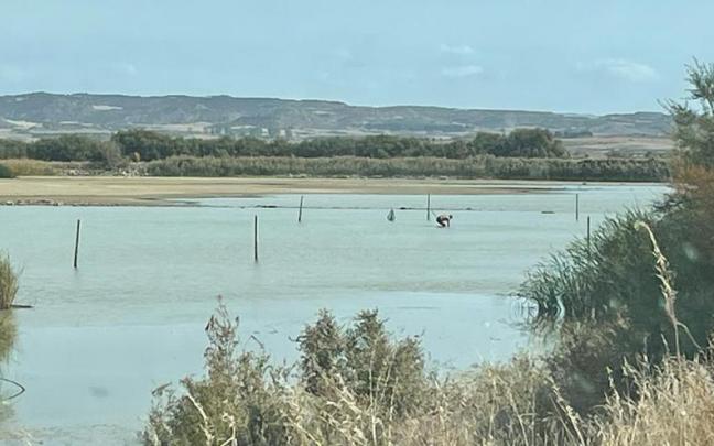 Una persona pesca a mano en Dos Reinos.