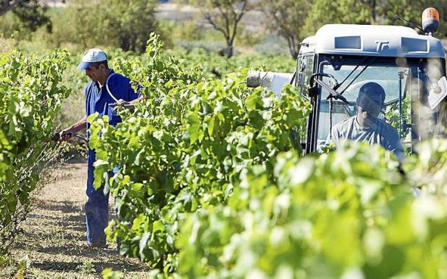 Pruebas de campo y visita a una finca experimental de Neiker.