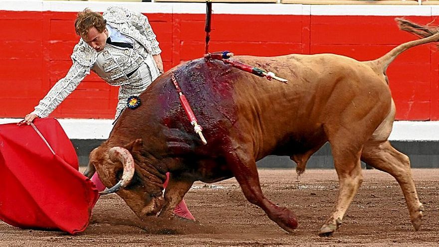 Un pase de pecho de Damián Castaño , el diestro que más cerca estuvo de reanimar la tarde en Vista Alegre.
