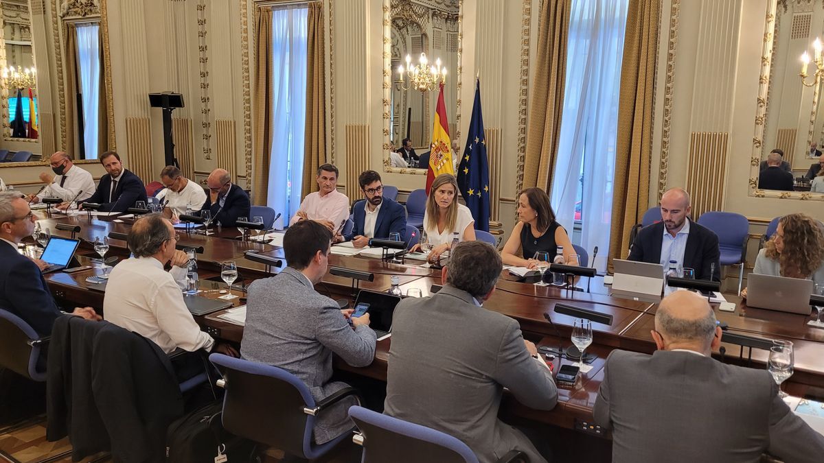 El consejero Irujo, durante la reunión del grupo de trabajo de Infraestructuras de Recarga del Vehículo Eléctrico, celebrada en Madrid.