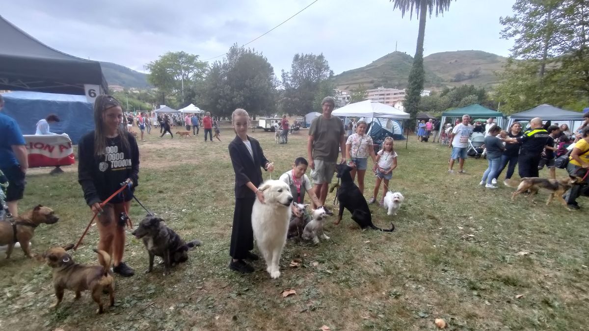 En el evento canino muskiztarra se dan cita más de 200 razas.