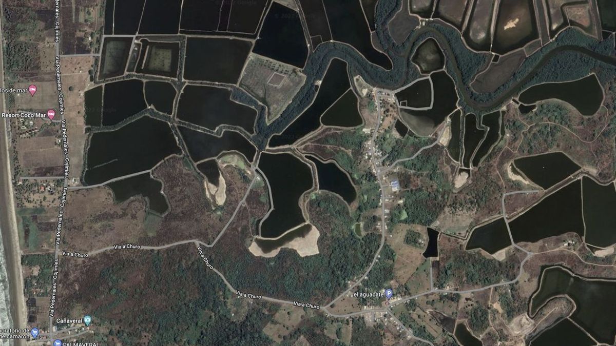 La vía de acceso a El Churo (Cojimíes)