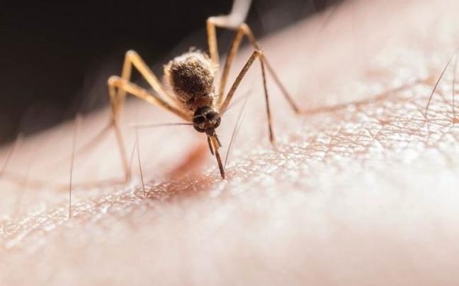 La malaria es una de las principales causas de muerte infantil en &Aacute;frica.