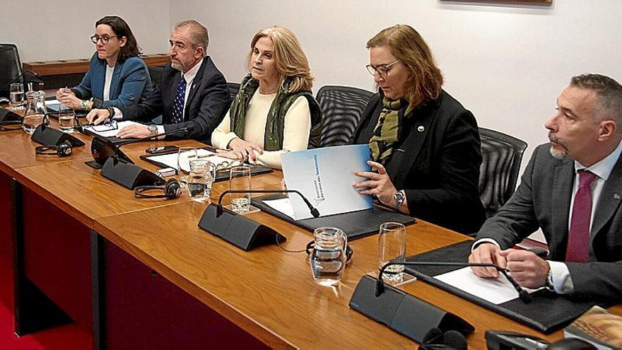 La presidenta de la AVT, Maite Araluce (segunda por la derecha), en la comisión celebrada ayer en el Parlamento de Navarra.