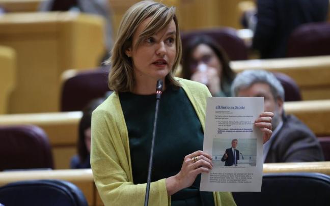La ministra de Educaci&oacute;n, Pilar Alegr&iacute;a , interviene en el pleno del Senado