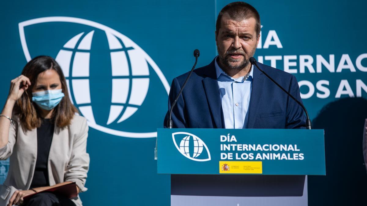 El director general de los Derechos de los Animales, Sergio García Torres, en una imagen de archivo.