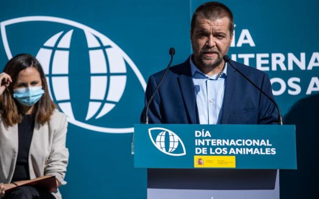 El director general de los Derechos de los Animales, Sergio Garc&iacute;a Torres, en una imagen de archivo.