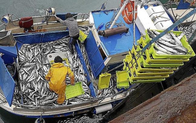 Berdelaren deskarga Bermeon.