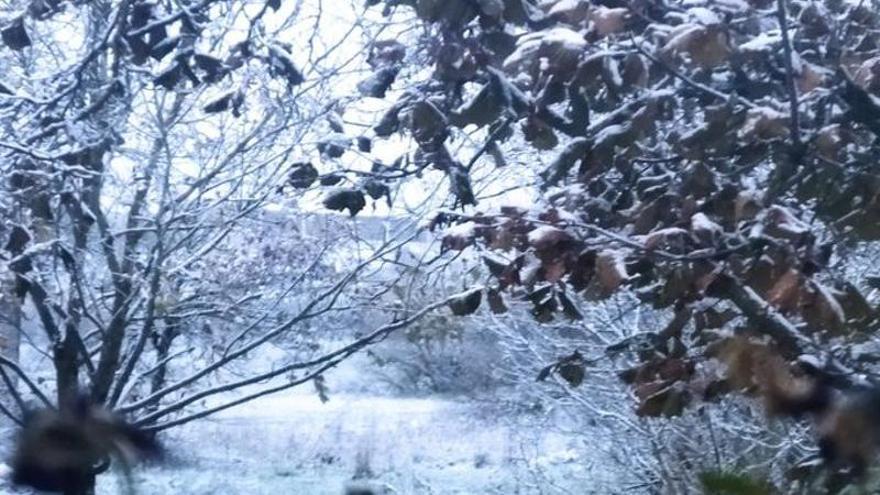 Espectacular imagen de nieve subida a redes sociales por @herrekagorri