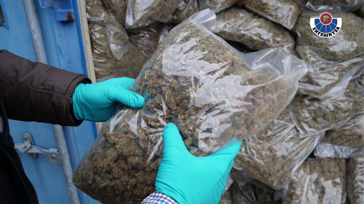 Marihuana decomisada en un caserío