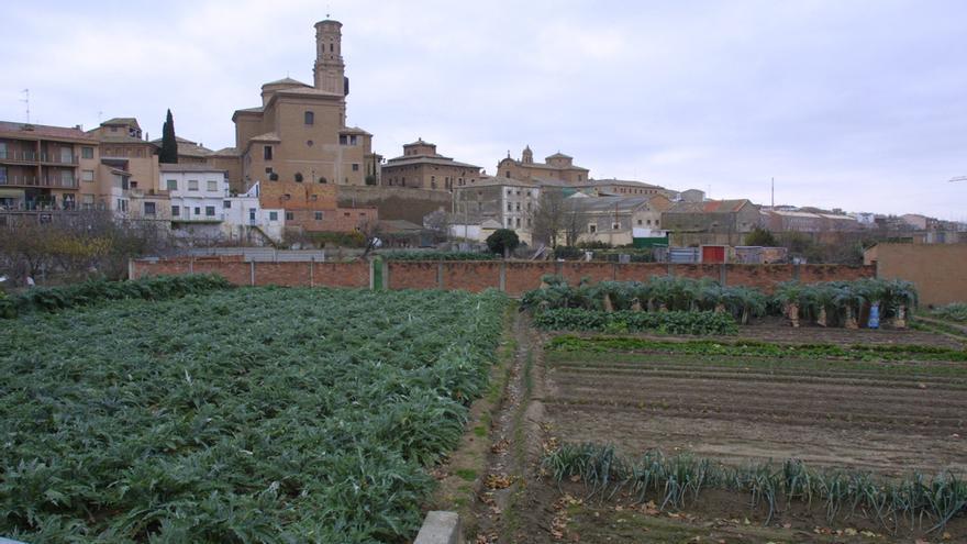 Vista de la localidad de Villafranca desde sus huertas