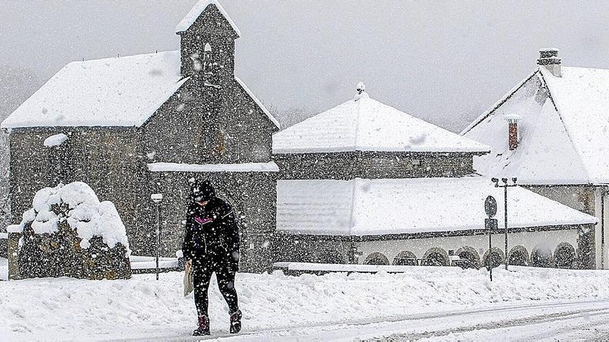 Una persona, en la colegiata de Roncesvalles.
