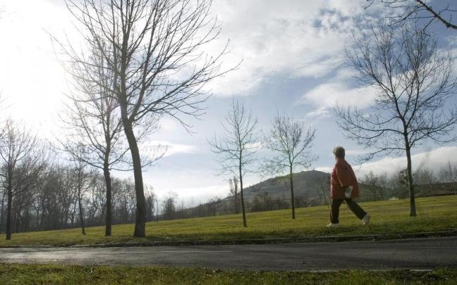 Una mujer pasea con su perro en el parque de Ol&aacute;rizu.