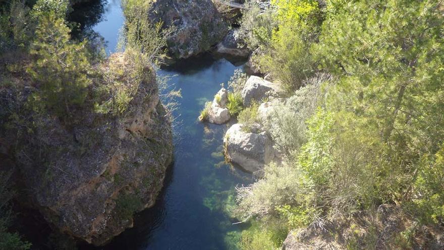 El fondo del barranco del arroyo Horcajo acoge una ecosistema de gran valor faunístico y botánico.