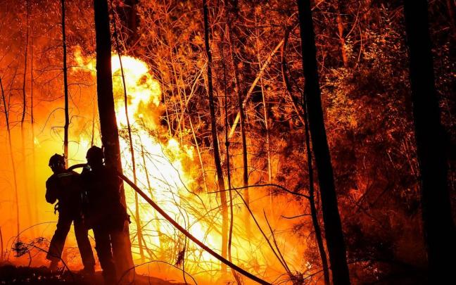 Seg&uacute;n la Prefectura m&aacute;s de 1.200 hect&aacute;reas han sido quemadas.