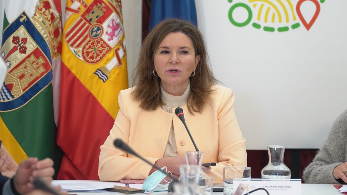 La secretaria general de Transporte y Movilidad, María José Rallo.