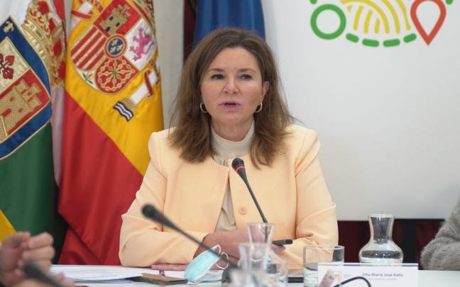 La secretaria general de Transporte y Movilidad, María José Rallo. La secretaria general de Transporte y Movilidad, María José Rallo.