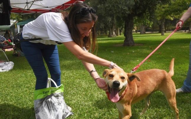 Una campaña para promover la adopción animal.