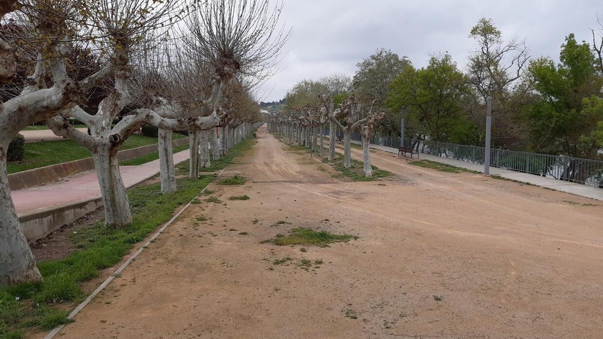 Vista del paseo del Prado de Tudela, objeto del proyecto del Corredor Verde