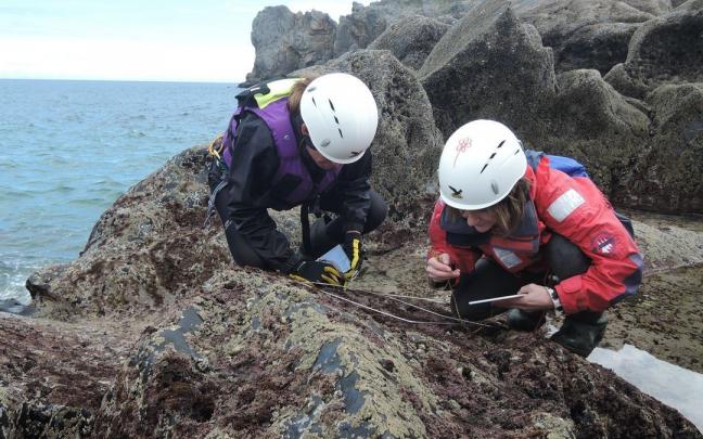 Las macroalgas de la costa cantábrica se parecerán cada vez más a las del Mediterráneo, según un estudio de la UPV/EHU. Las macroalgas de la costa cantábrica se parecerán cada vez más a las del Mediterráneo, según un estudio de la UPV/EHU.