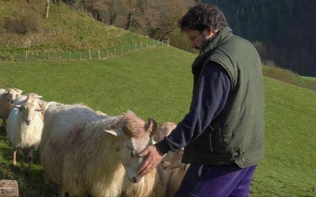 La ley tambi&eacute;n recoge medidas como la supervisi&oacute;n de los precios para garantizar la viabilidad del sector agrario y el compromiso de reforzar los transportes.