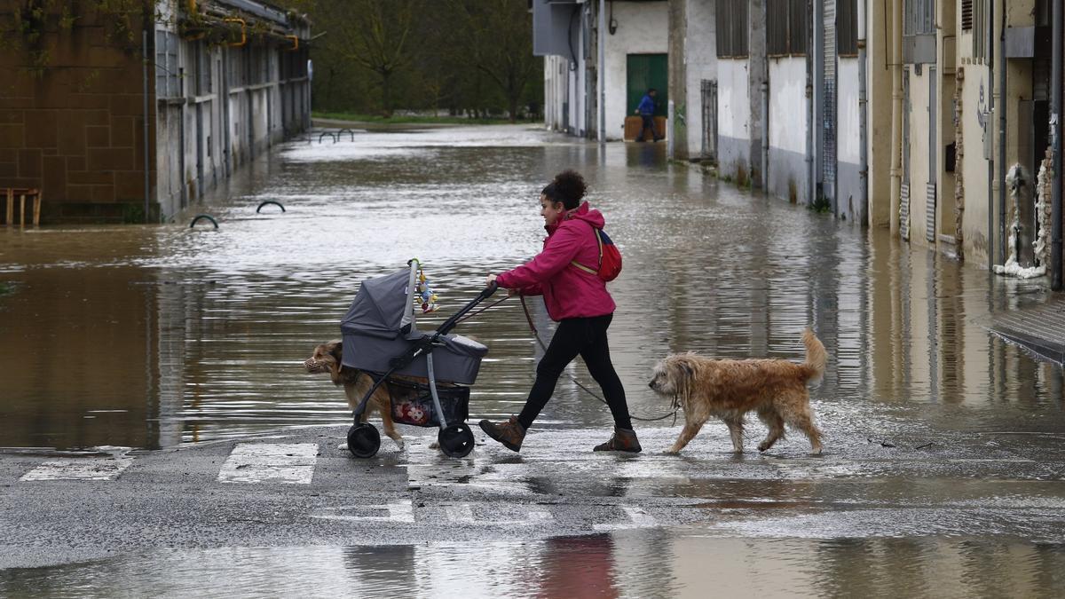 Una mujer pasea con su hijo y sus perros, en el Martiket, rodeada de agua.