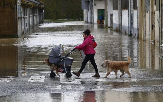Una mujer pasea con su hijo y sus perros, en el Martiket, rodeada de agua.